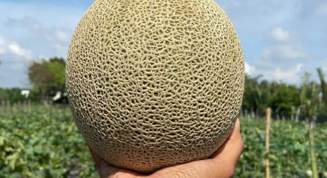 WhatsApp Image 2023-07-21 at 17.40.24